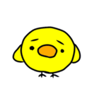 ぴよこのちょっとうざいスタンプ（個別スタンプ：11）