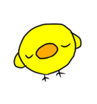 ぴよこのちょっとうざいスタンプ（個別スタンプ：17）