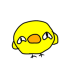 ぴよこのちょっとうざいスタンプ（個別スタンプ：23）