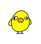 ぴよこのちょっとうざいスタンプ（個別スタンプ：32）