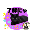 みにくんと黒猫ちびちゃんの日常会話（個別スタンプ：31）