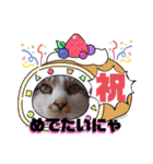 みにくんと黒猫ちびちゃんの日常会話（個別スタンプ：35）