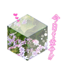 優しい花のスタンプ"A gift of flowers"2（個別スタンプ：9）