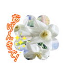 優しい花のスタンプ"A gift of flowers"2（個別スタンプ：19）