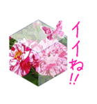 優しい花のスタンプ"A gift of flowers"2（個別スタンプ：20）