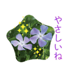 優しい花のスタンプ"A gift of flowers"2（個別スタンプ：28）