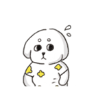 白い犬バンバンと花（個別スタンプ：1）