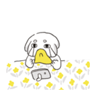 白い犬バンバンと花（個別スタンプ：7）