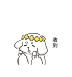 白い犬バンバンと花（個別スタンプ：10）