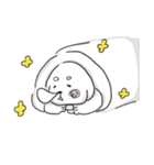 白い犬バンバンと花（個別スタンプ：11）