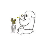 白い犬バンバンと花（個別スタンプ：16）