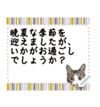 猫の似顔絵スタンプ（個別スタンプ：10）