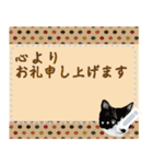 猫の似顔絵スタンプ（個別スタンプ：11）