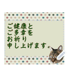 猫の似顔絵スタンプ（個別スタンプ：12）