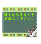 猫の似顔絵スタンプ（個別スタンプ：14）