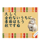 猫の似顔絵スタンプ（個別スタンプ：15）