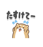 こつこつカワウソ（でか文字）（個別スタンプ：20）