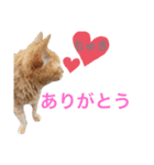 しもてぃーず7（個別スタンプ：3）