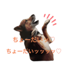 しもてぃーず7（個別スタンプ：6）