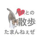 しもてぃーず7（個別スタンプ：8）