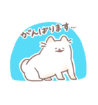 白い犬のスタンプやで（個別スタンプ：26）