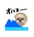 くぼみとこんぺい、時々ダボ。（個別スタンプ：4）