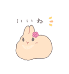 うさぎのいる日常 夏（個別スタンプ：5）