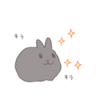 うさぎのいる日常 夏（個別スタンプ：13）