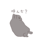 うさぎのいる日常 夏（個別スタンプ：22）