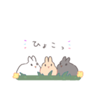 うさぎのいる日常 夏（個別スタンプ：36）