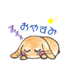 兎々日和（個別スタンプ：2）