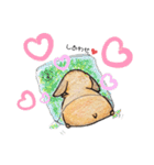 兎々日和（個別スタンプ：5）