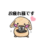 兎々日和（個別スタンプ：7）