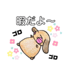 兎々日和（個別スタンプ：17）