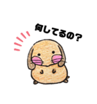 兎々日和（個別スタンプ：19）