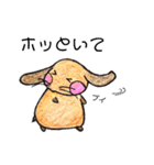 兎々日和（個別スタンプ：21）