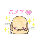 兎々日和（個別スタンプ：22）