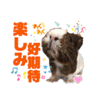 ちょっぴ♡ ファミリーLOVE LOVE LOVE（個別スタンプ：9）