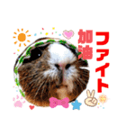 ちょっぴ♡ ファミリーLOVE LOVE LOVE（個別スタンプ：10）