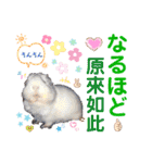 ちょっぴ♡ ファミリーLOVE LOVE LOVE（個別スタンプ：12）