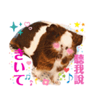 ちょっぴ♡ ファミリーLOVE LOVE LOVE（個別スタンプ：18）