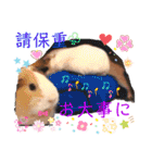 ちょっぴ♡ ファミリーLOVE LOVE LOVE（個別スタンプ：21）
