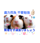 ちょっぴ♡ ファミリーLOVE LOVE LOVE（個別スタンプ：24）