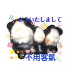 ちょっぴ♡ ファミリーLOVE LOVE LOVE（個別スタンプ：29）
