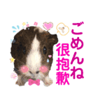 ちょっぴ♡ ファミリーLOVE LOVE LOVE（個別スタンプ：31）
