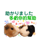 ちょっぴ♡ ファミリーLOVE LOVE LOVE（個別スタンプ：33）