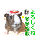 ちょっぴ♡ ファミリーLOVE LOVE LOVE（個別スタンプ：39）