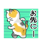 猫大好き！その40（個別スタンプ：16）