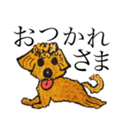 ぽこという名のマルプー（個別スタンプ：5）
