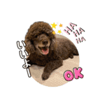 我が家のわんこスタンプ#2（個別スタンプ：1）